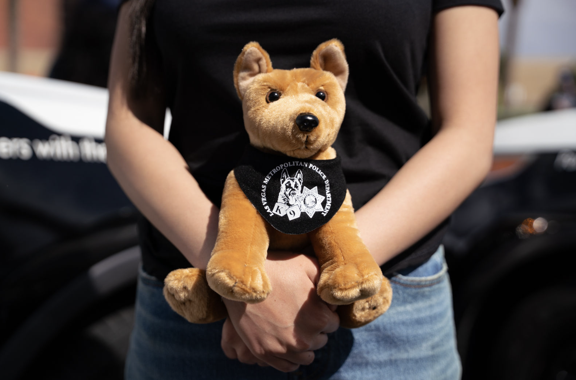K-9 APPAREL & GEAR